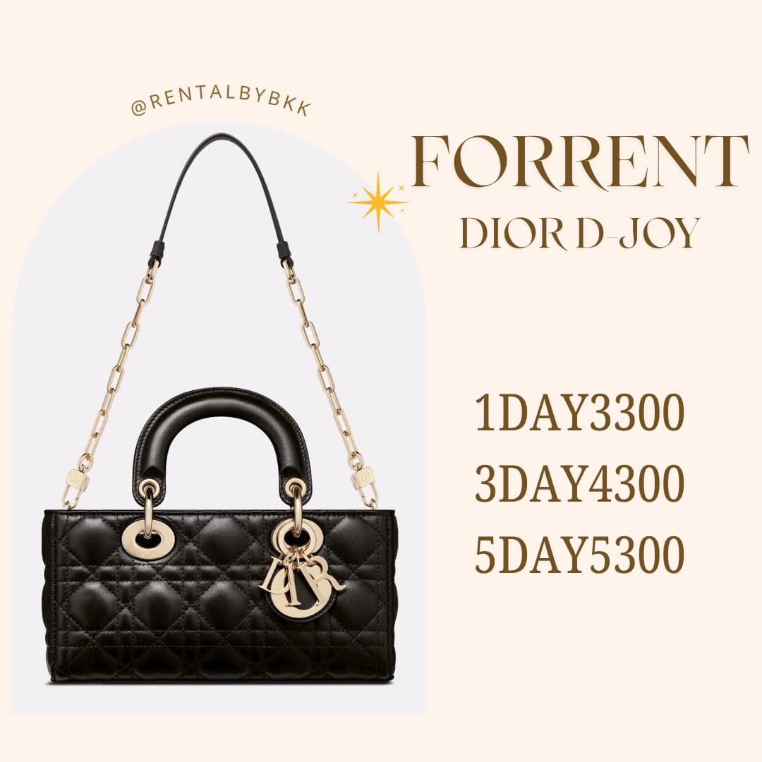 dior d joy small