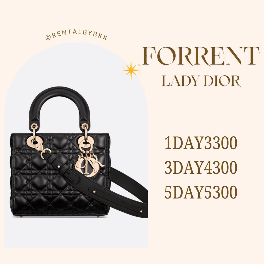 dior lady small