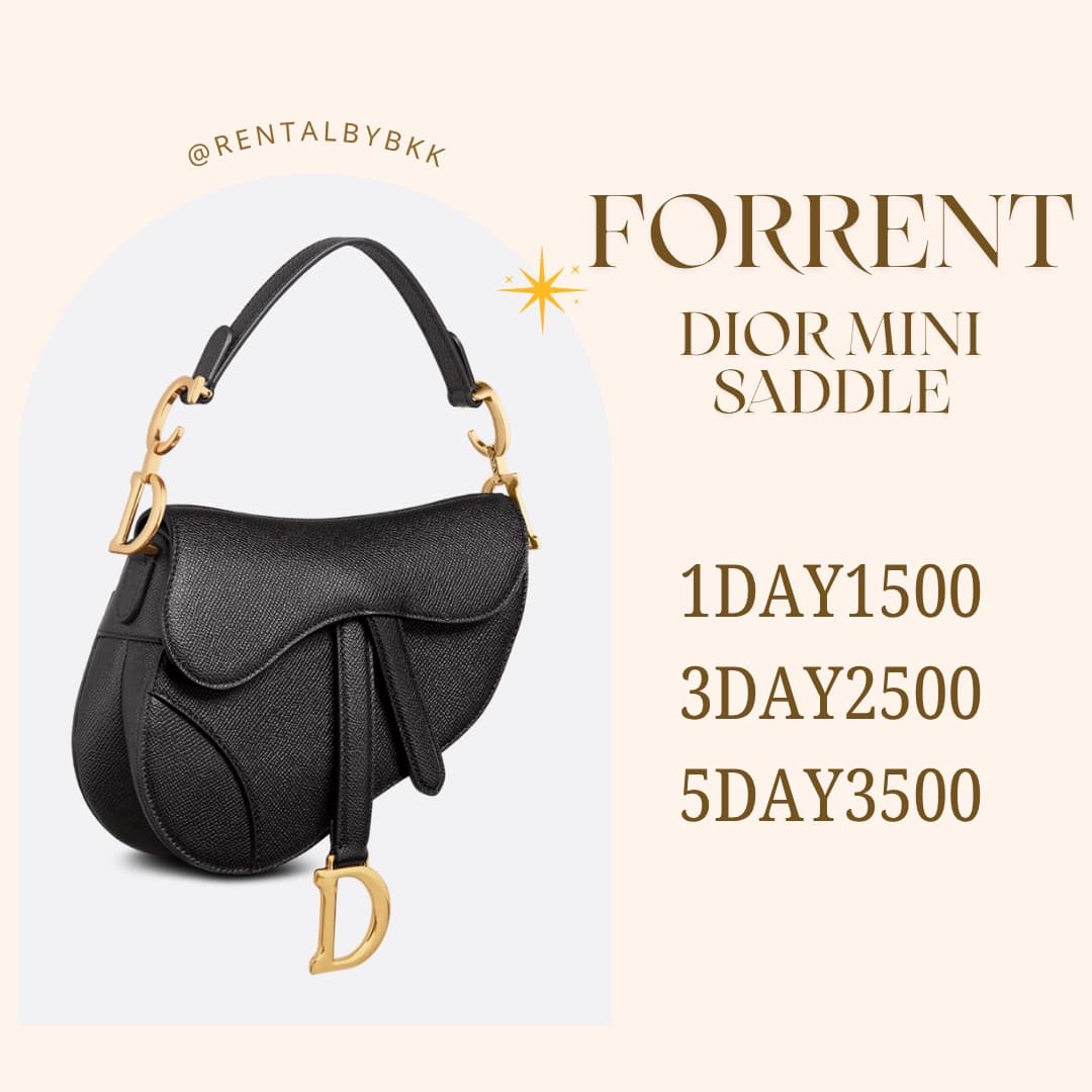 dior saddle mini