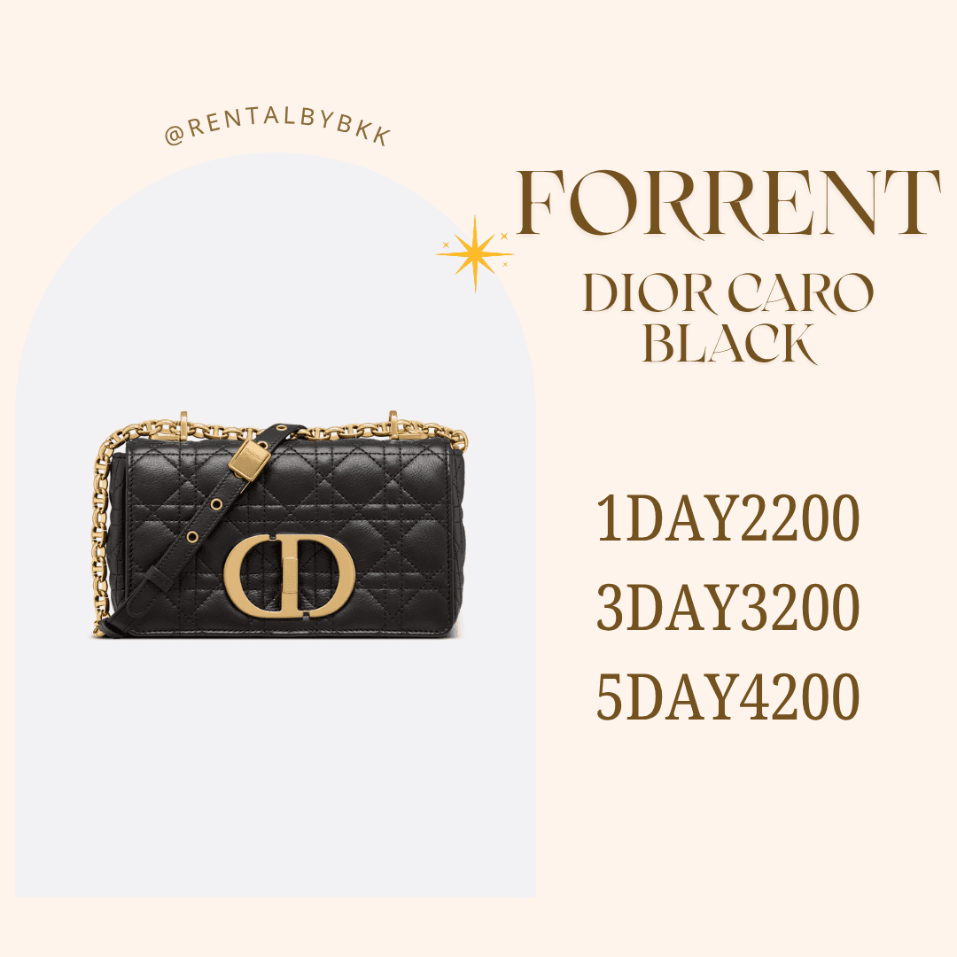 dior caro small