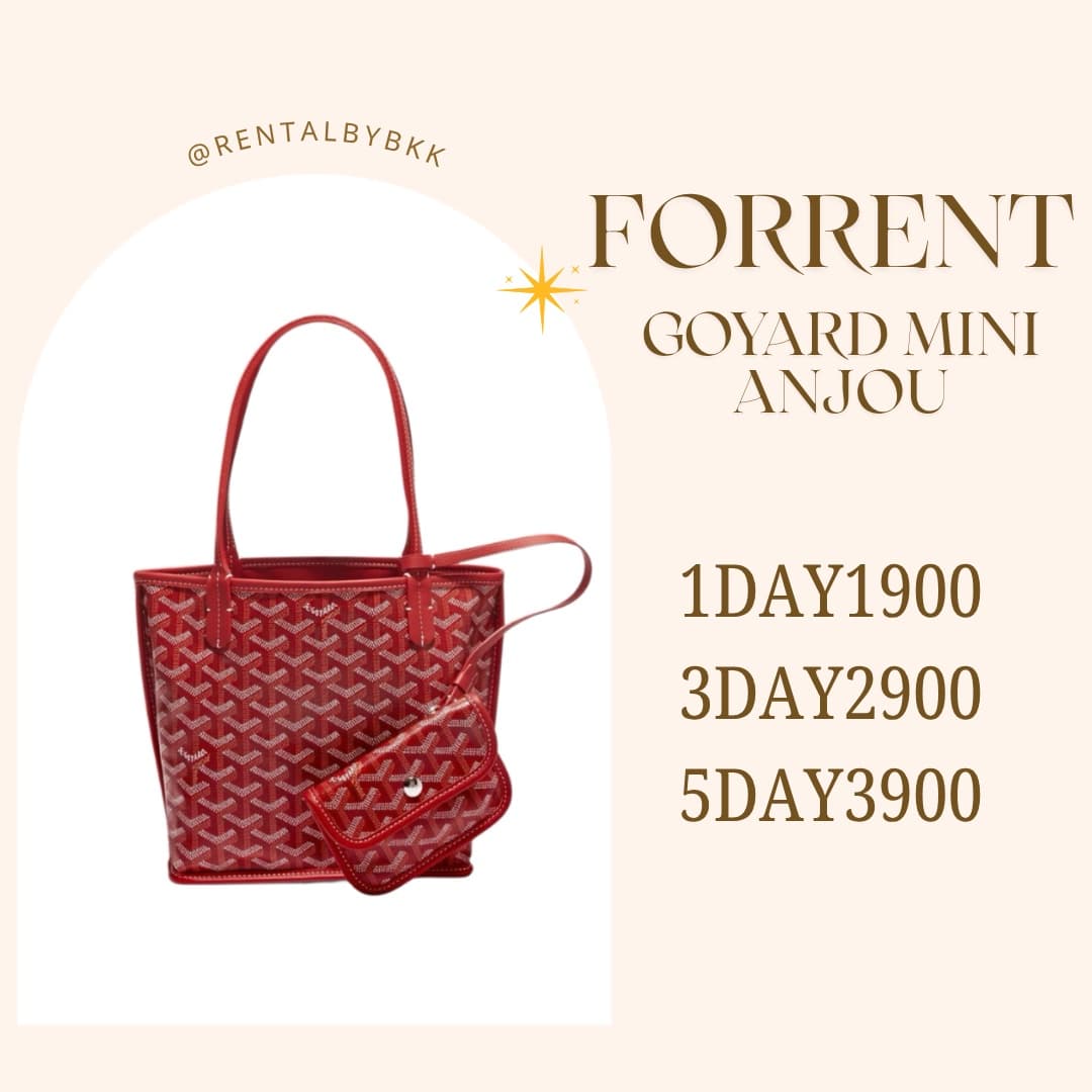 goyard mini anjou