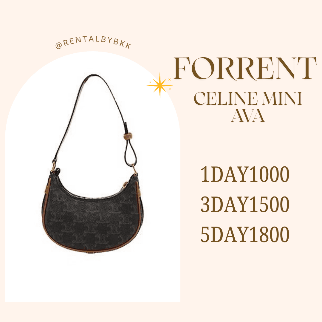 celine mini ava