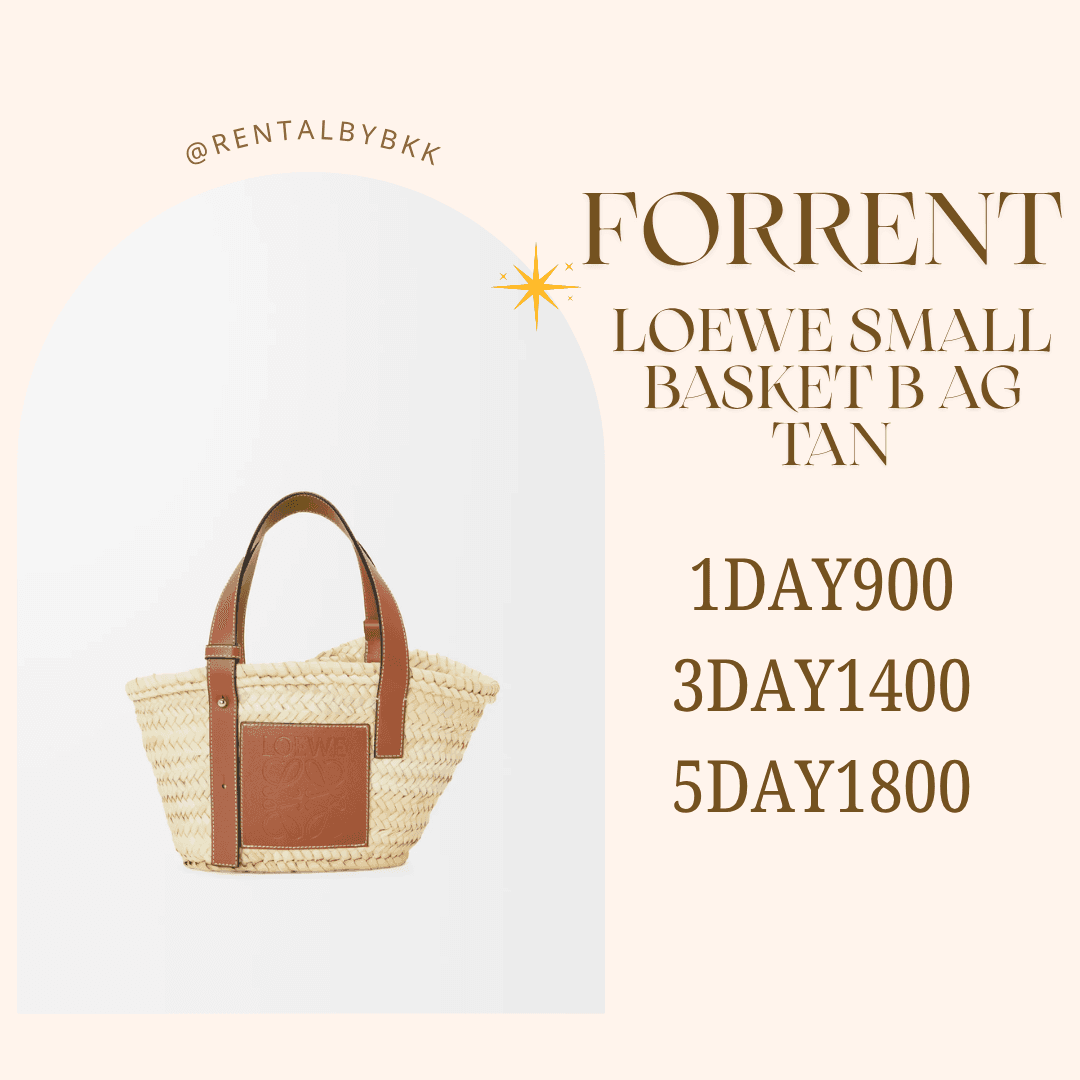 loewe basket small