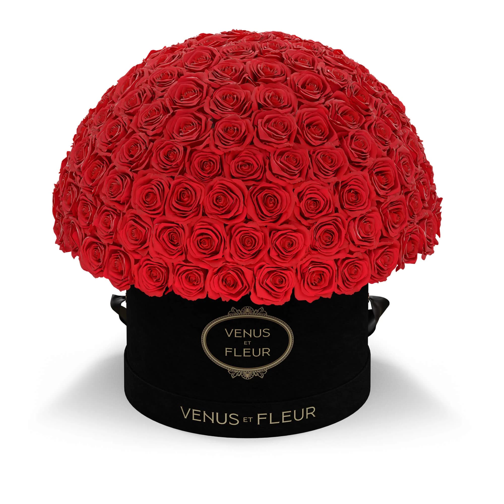 Venus et Fleur Flowers