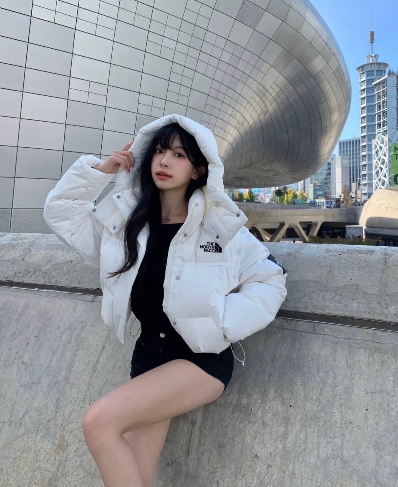 Thenorthface