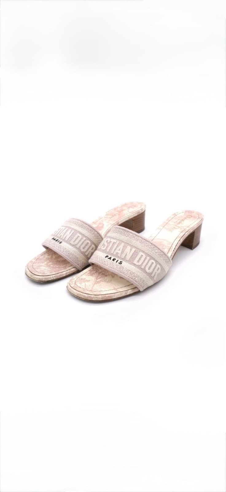 Dior Dway Heeled Slide – Toile de Jouy
