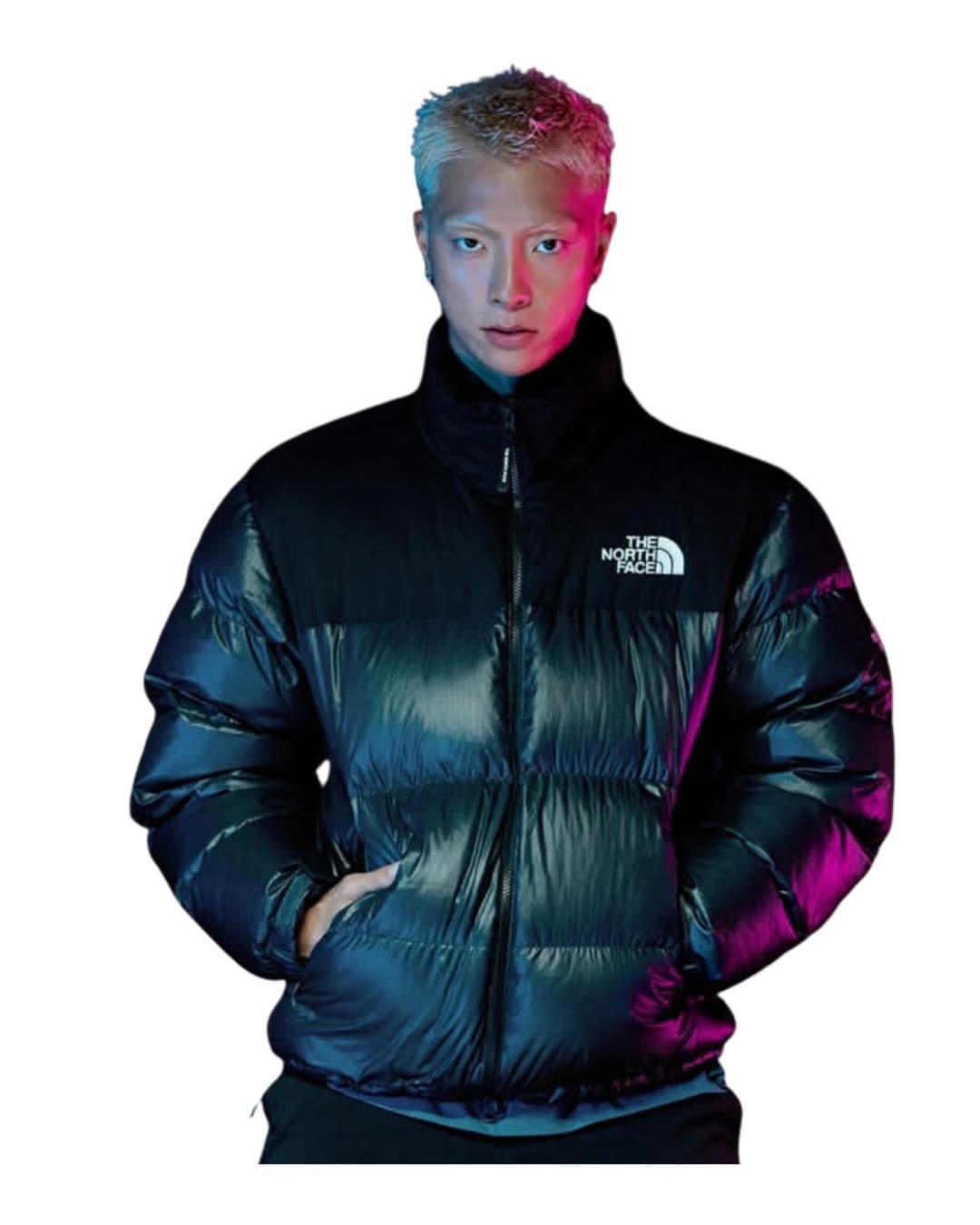 Novelty Nuptse Down Jacket